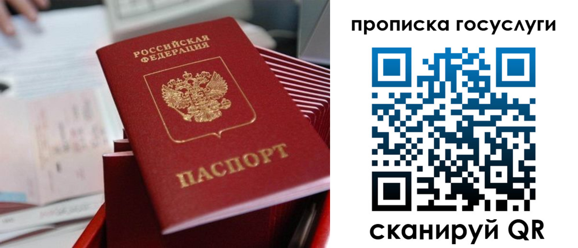 прописка законно в Московской области